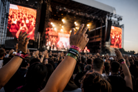 Pulseras para conciertos, discotecas y eventos Pulseras para conciertos, discotecas y eventos